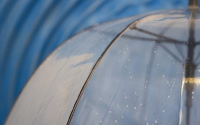 SURFACE_TENSION | Douglas Henderson